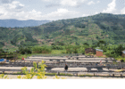 Sustainable Coffee: It's more than compostable packaging Logo